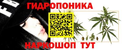 крисы Жуковский